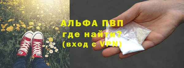 индика Балабаново