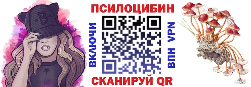 цена наркотик  Туран  Псилоцибиновые грибы Psilocybe 